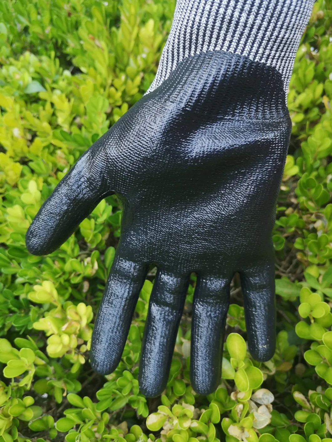 Anti-Static OEM Palm Coated Work Glove Price Gloves for Gardening